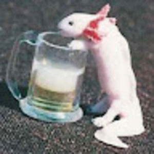 Meet your Posher, Natalala